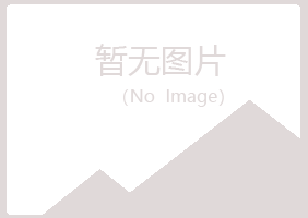 岐山县匆匆咨询有限公司